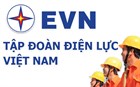 Mục tiêu hoạt động và ngành nghề kinh doanh của Tập đoàn Điện lực Việt Nam