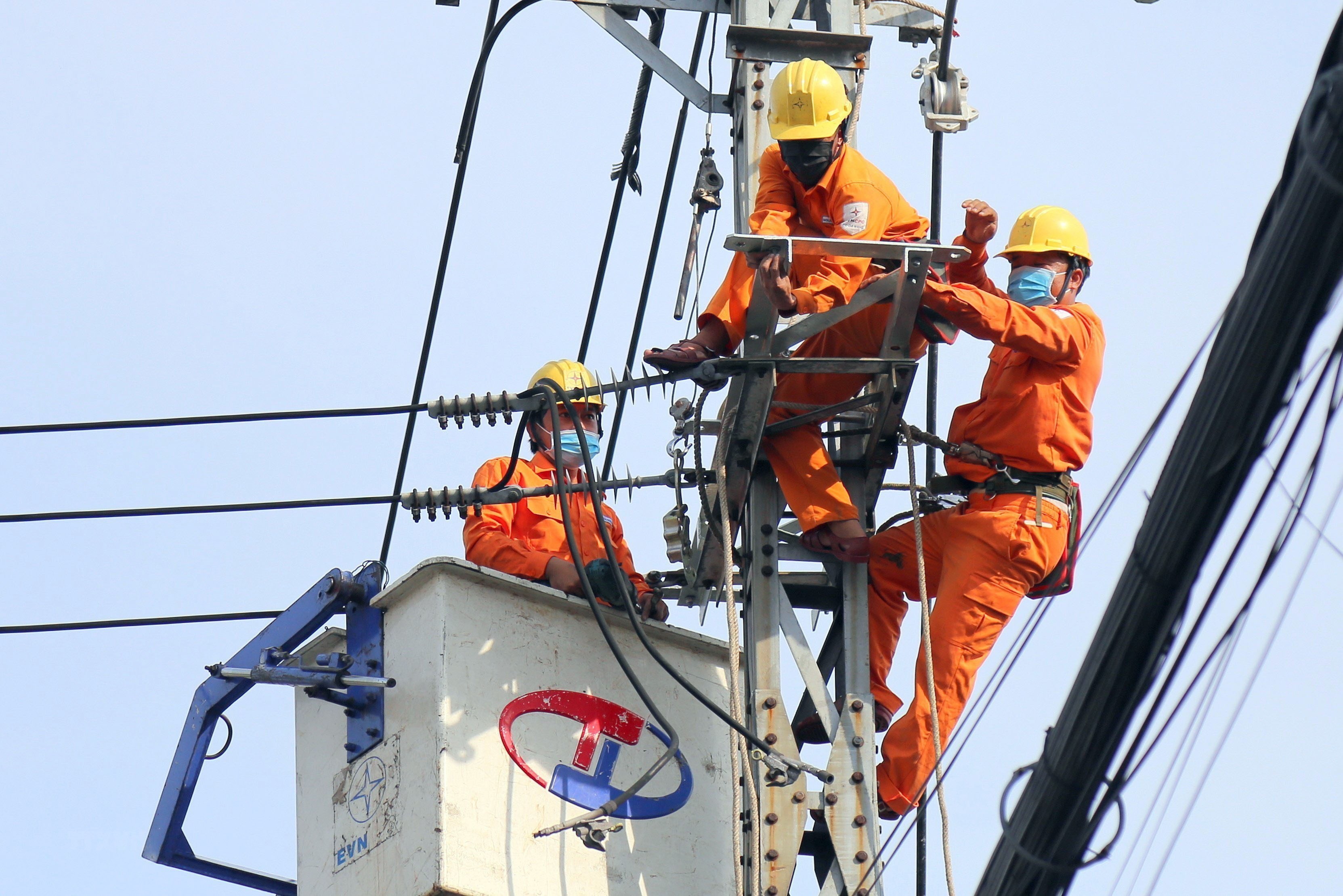 Reporting regime of provincial electricity companies and Power Corporations in Vietnam