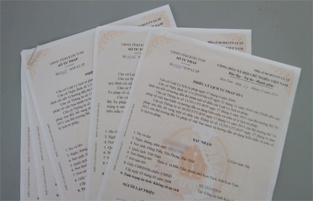 What are the contents of the judicial record cards No. 1, No. 2 under the law in Vietnam?