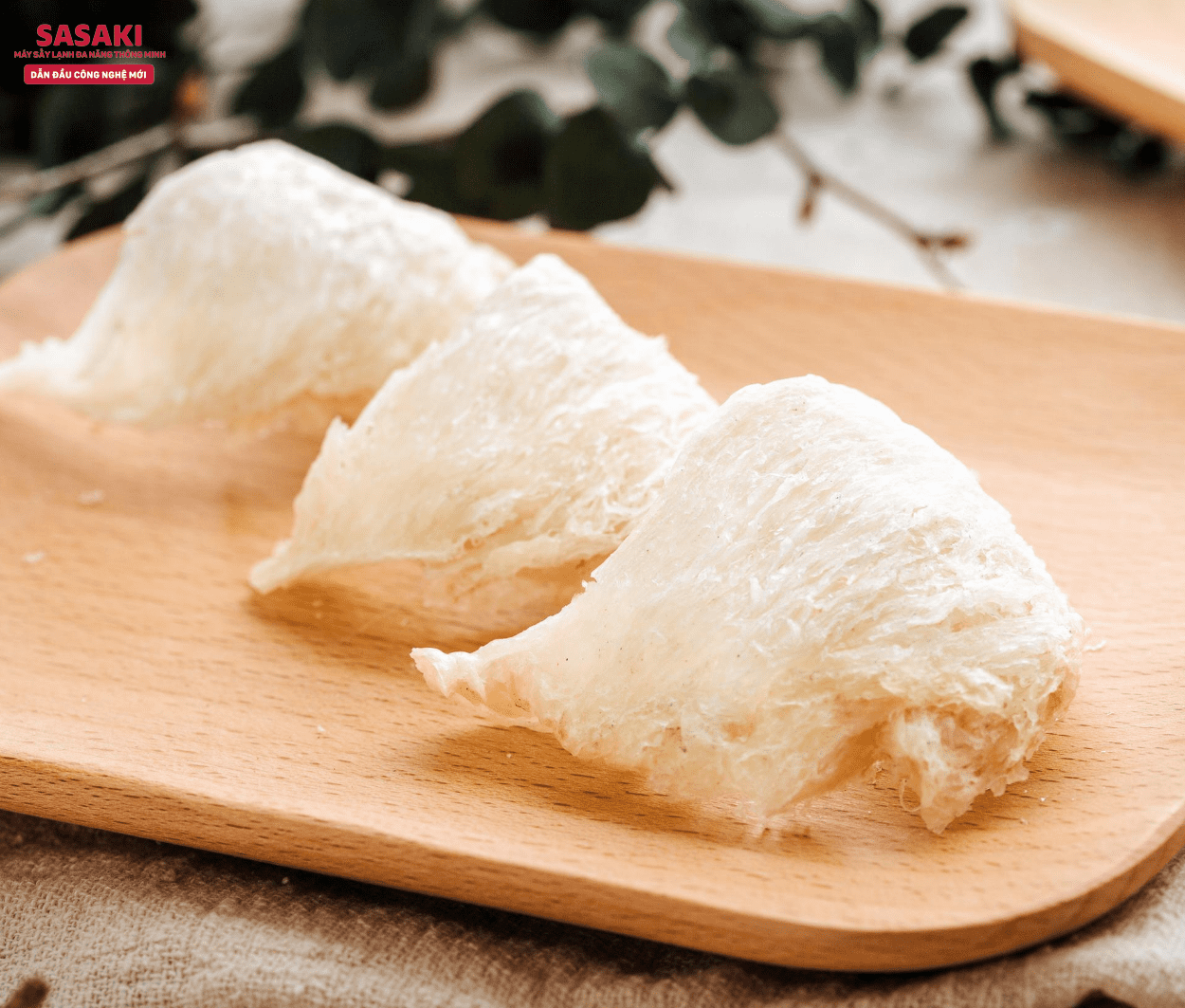 To promote export of bird's nest products in Vietnam
