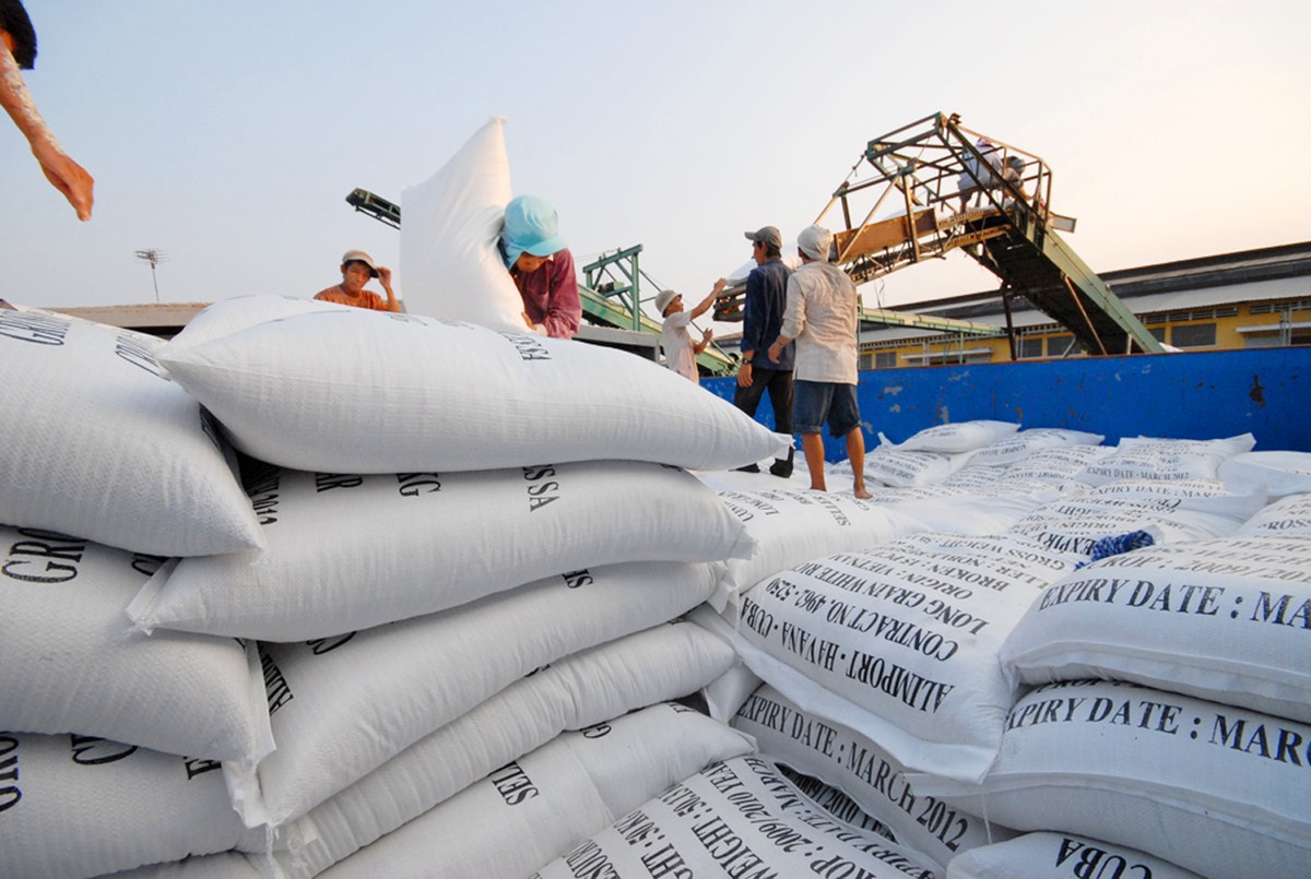 Khẩn trương hoàn thiện dự thảo Nghị định sửa đổi về kinh doanh xuất khẩu gạo