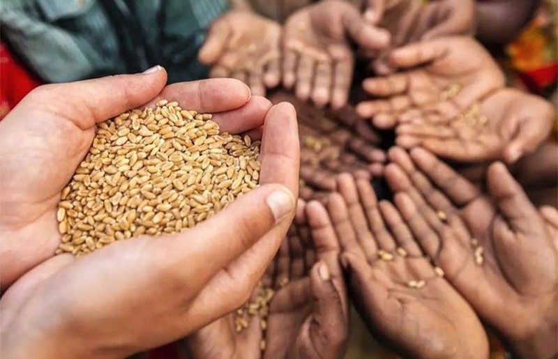 The task of firmly ensuring national food security in Vietnam