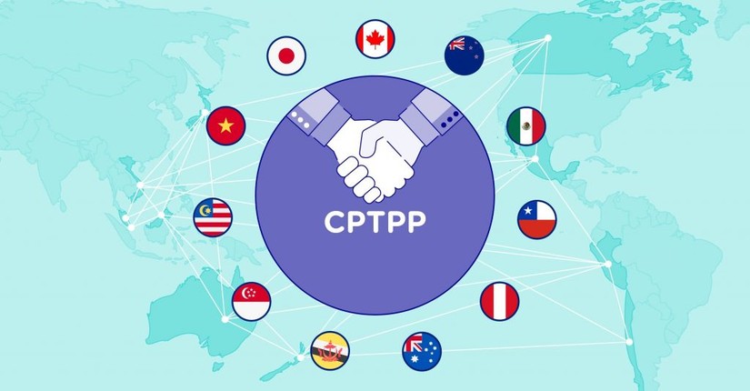Biểu thuế xuất khẩu ưu đãi của Việt Nam để thực hiện Hiệp định CPTPP