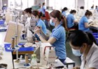 Hướng dẫn thống kê tỷ trọng người làm công ăn lương có HĐLĐ từ 01/01/2024