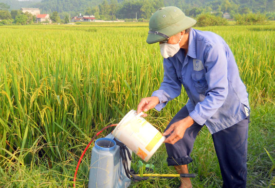 Danh mục thuốc bảo vệ thực vật cấm sử dụng tại Việt Nam từ ngày 08/12/2023