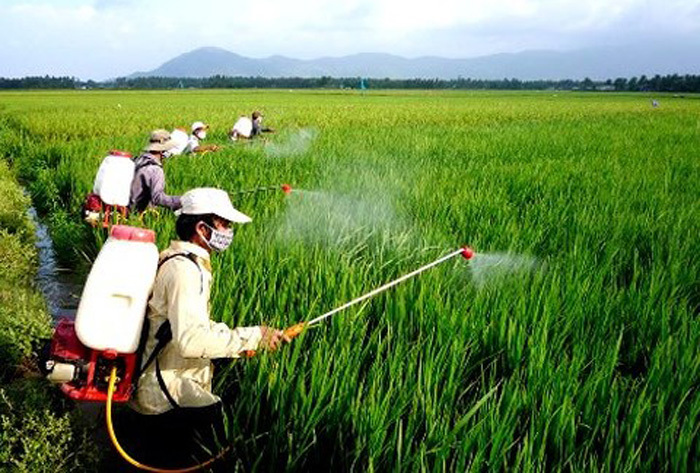Danh mục thuốc bảo vệ thực vật được phép sử dụng tại Việt Nam (từ 08/12/2023)