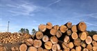 Vietnam to suspend temporary import and re-export of round timber and sawn timber from natural forests of Laos and Cambodia