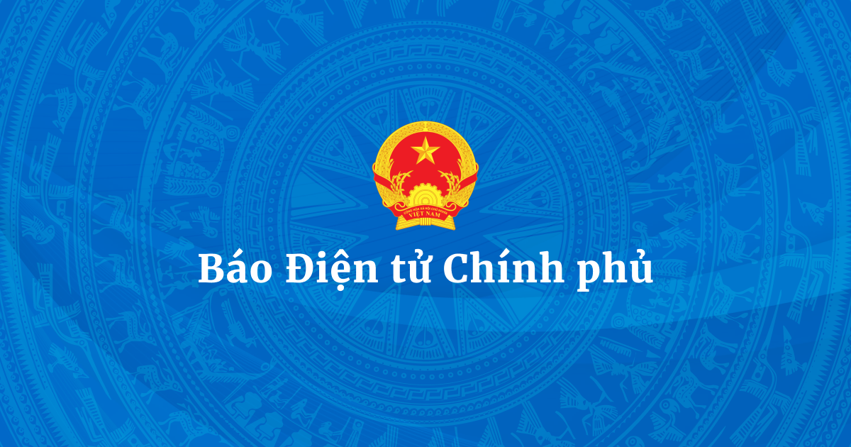 Chức năng của Báo điện tử Chính phủ