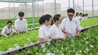 Hướng dẫn xếp lương viên chức chuyên ngành trồng trọt và bảo vệ thực vật