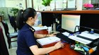 What does customs information in Vietnam consist of?