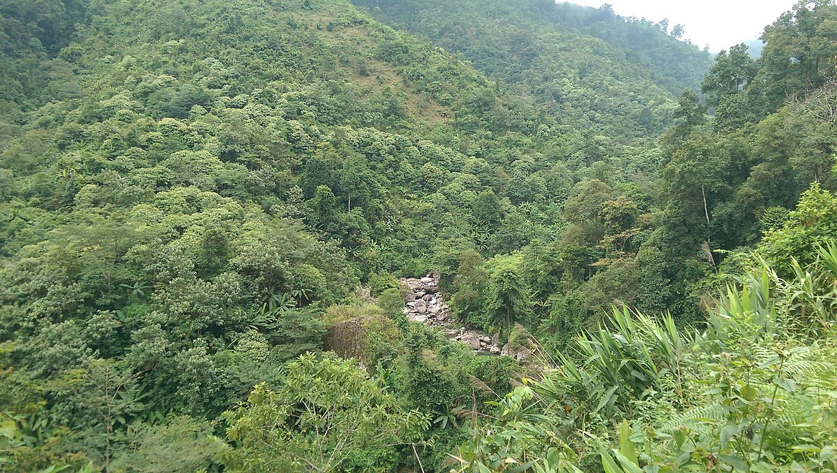 Amendments to regulations on results of monitoring forest transition in Vietnam