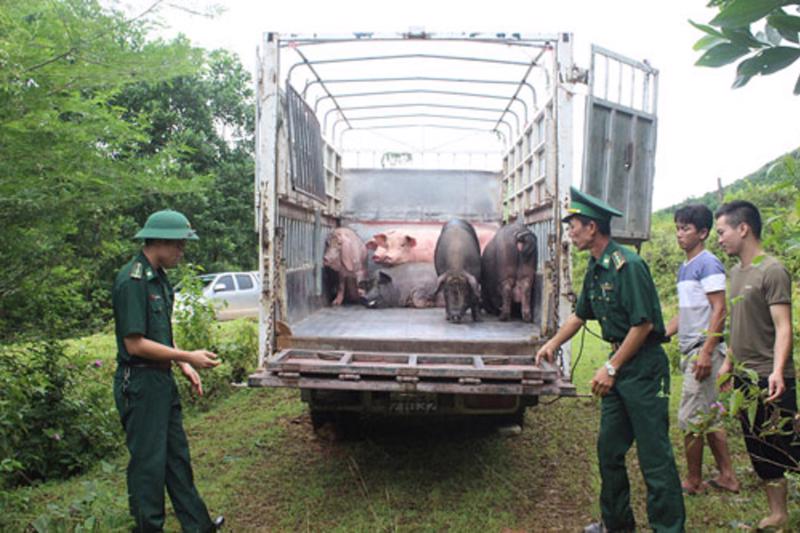 To prevent smuggling and illegal transportation of animals and aquatic products across the border into Vietnam