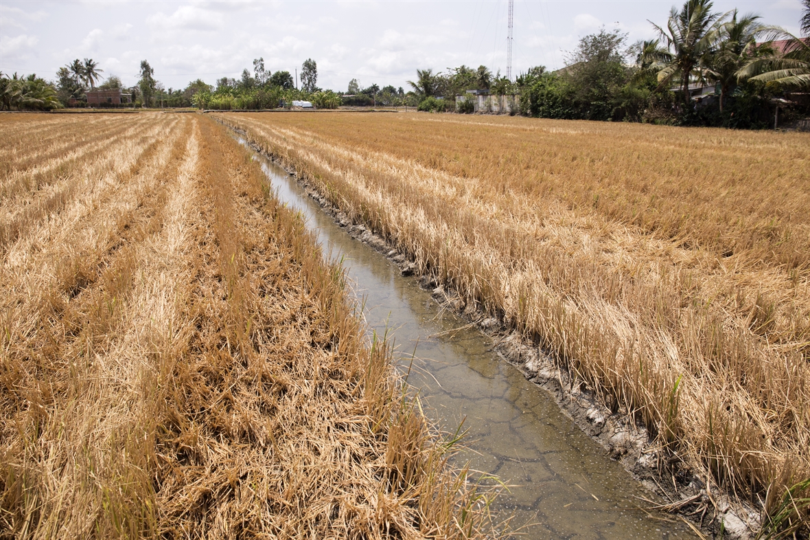 To strengthen the assurance of safe water supply to cope with the risks of drought, water shortage, and saltwater intrusion in Vietnam