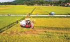 Phê duyệt Đề án “Hội Nông dân Việt Nam tham gia phát triển kinh tế tập thể trong nông nghiệp đến năm 2030”