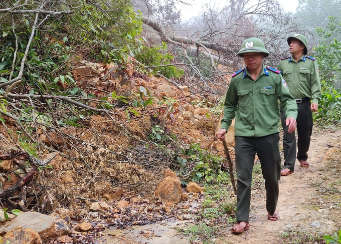 Tasks and power of forest protection forces of forest owners in Vietnam