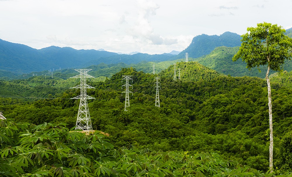 Điều kiện phê duyệt Phương án tạm sử dụng rừng phục vụ thi công dự án lưới điện