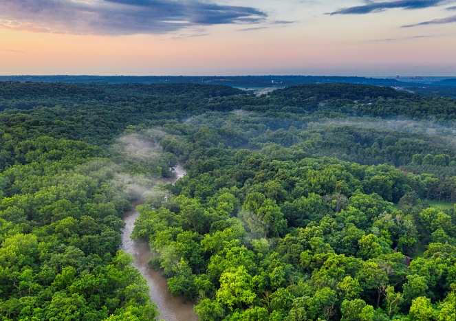 The Ministry of Agriculture and Rural Development of Vietnam's request for updates on forest changes and the publication of the forest status in 2023 