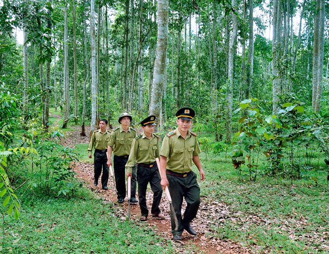 Equipment and benefits for forest protection forces of forest owners in Vietnam