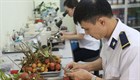 Procedures for quarantine of imported plants, inspection of food safety for goods originating from plants used for food in Vietnam