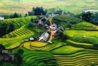 Approval of the Planning of the Midland and Northern Mountainous Region for the period 2021–2030 in Vietnam