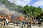 Further drastic and effective implementation of forest fire safety measures in Vietnam
