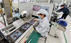 To submit to the Government of Vietnam the Scheme for developing human resources for semiconductor industry in 2024