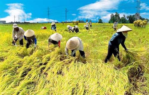 Nâng cao chất lượng hoạt động của Hội Nông dân Việt Nam trong giai đoạn mới