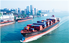 Quy định về giá dịch vụ bốc dỡ container tại cảng biển từ 01/7/2024