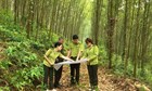 Mức kinh phí bảo vệ rừng đặc dụng từ ngày 15/7/2024