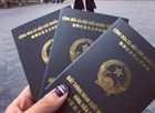 Hồ sơ đề nghị cấp giấy thông hành đối với công dân Việt Nam từ ngày 09/8/2024