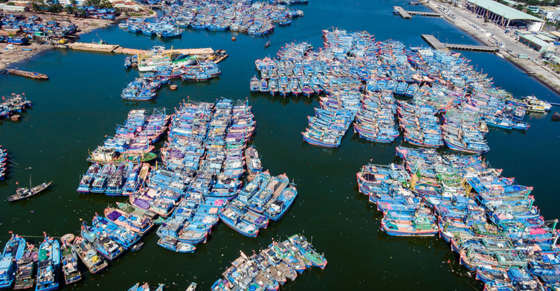 By 2030, there will be total of 173 fishing ports in Vietnam