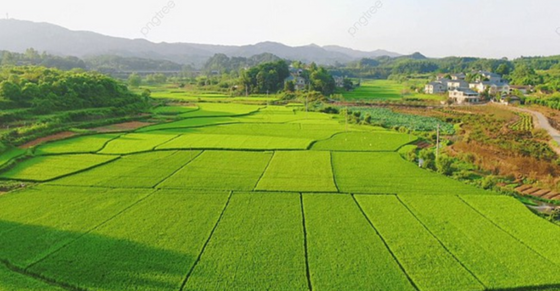 Requirements for land allocation, land lease, permission for land repurposing in Vietnam from August 1, 2024