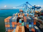Procedures for issuance of CFS for exported goods in Vietnam