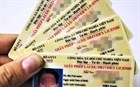 Các hạng giấy phép lái xe mới nhất từ ngày 01/01/2025