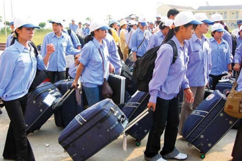 Improving laws on Vietnamese guest workers