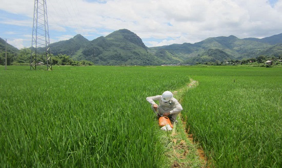 Conditions on the competence of land surveying and assessment service providers in Vietnam