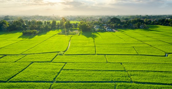 Regulations on receipt of land use rights in areas with limited access to land in Vietnam from August 1, 2024