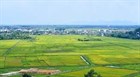 Detailed Regulations on Types of Land in the Group of Agricultural, Non-Agricultural Land from August 1, 2024