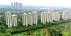 Newest regulations on content of the provincial housing development programs and plans in Vietnam