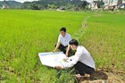 Approval of the Scheme for Land Inventory and Preparation of the Current Land Use Status Map for the Year 2024