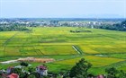 Vietnam’s guidelines on plans for professional training and advanced training in land prices