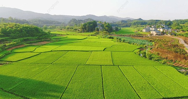 Thủ tục đăng ký chuyển mục đích sử dụng đất không phải xin phép cơ quan nhà nước