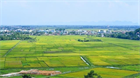 Guidelines for implementing the  land expropriation plan or an inspection, surveying and measurement plan in Vietnam