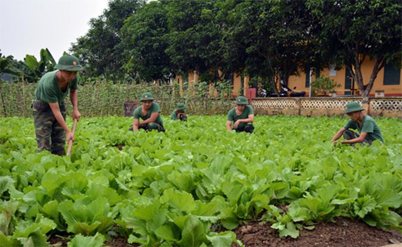 Case where land user is not required to pay annual land levy on land for national defense or security purpose in combination with productive labour in Vietnam