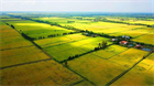 Requirements for business in rights to use land that already has infrastructure within real estate projects in Vietnam