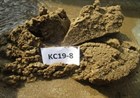 Requirements for the Research on the Quality of Marine Sand Mines from October 15, 2024