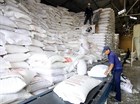 Allocation of 200 Tons of Rice to Support Localities Affected by Typhoon No. 3