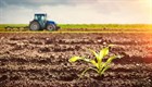 Regulations on the construction of works directly serving agricultural production on rice cultivation land