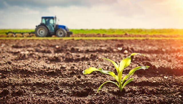 Regulations on construction projects directly supporting agricultural production on rice cultivation land in Vietnam