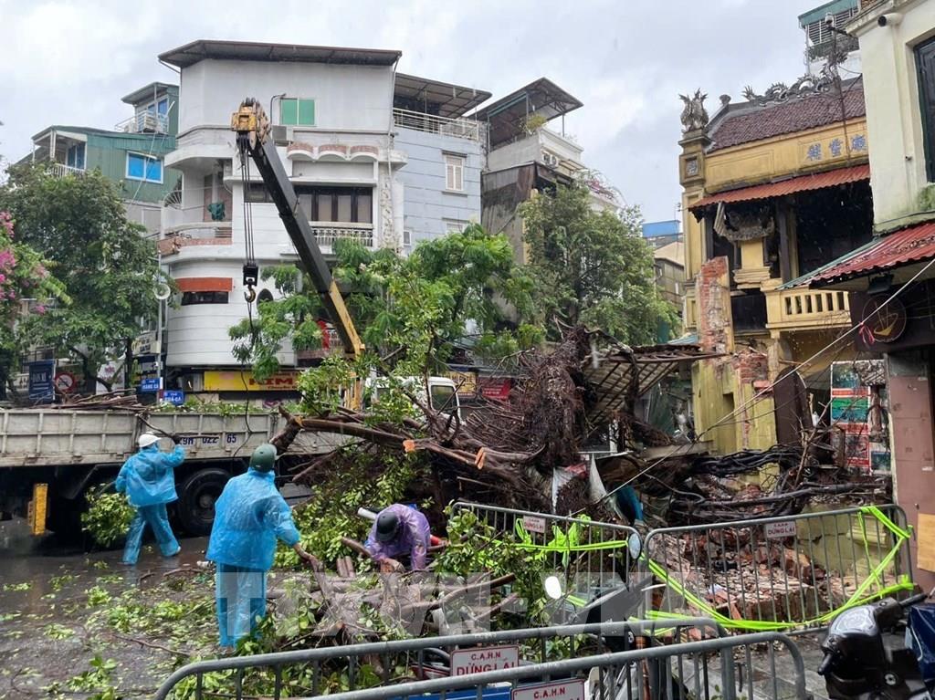 Key tasks and solutions for urgently addressing the damages caused by No. 3 typhoon (Yagi) in Vietnam